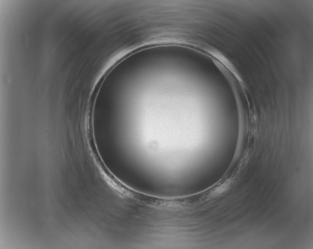 X0000078831101200611131116