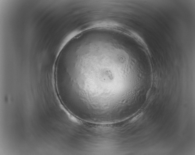 X0000078831103200611131116