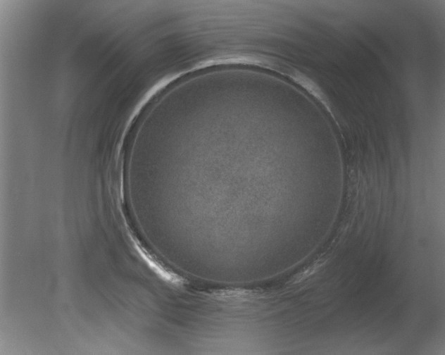 X0000078831127200611131116