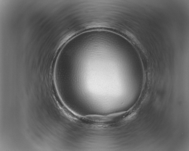 X0000078831129200611131116