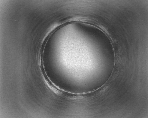 X0000078831131200611131116