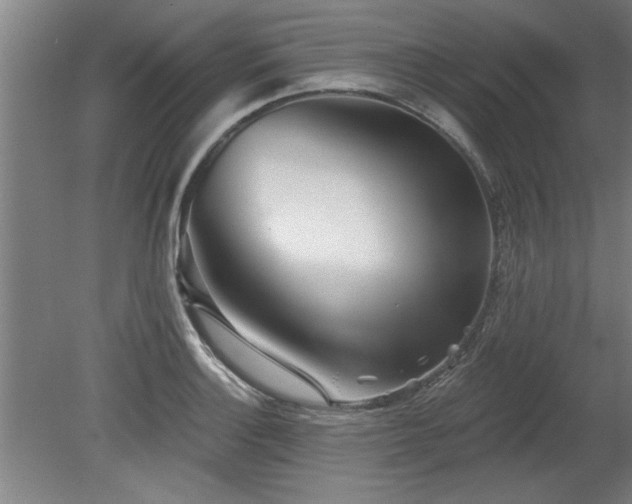 X0000078831132200611131116