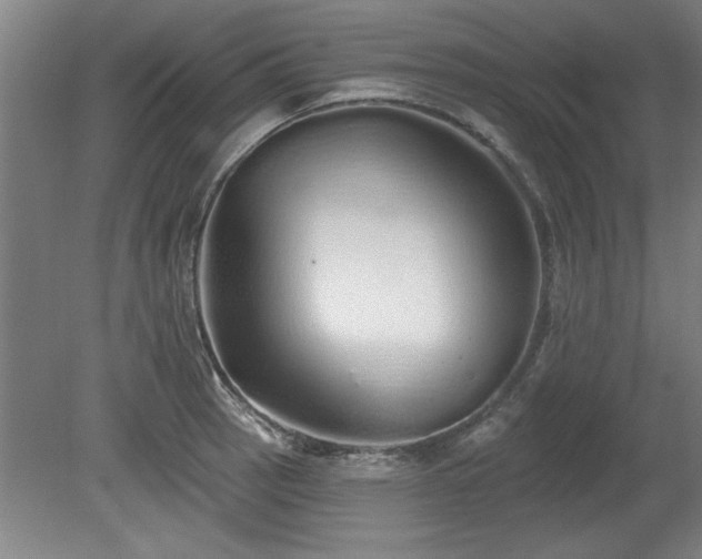X0000078831137200611131116