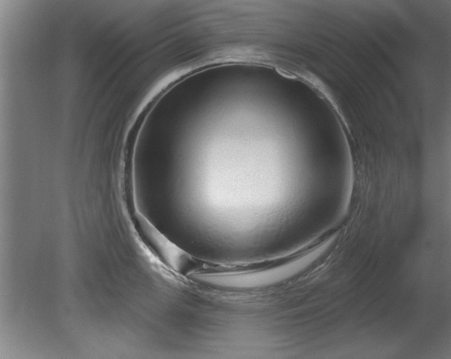 X0000078831147200611131116