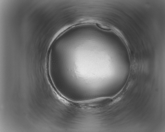 X0000078831149200611131116