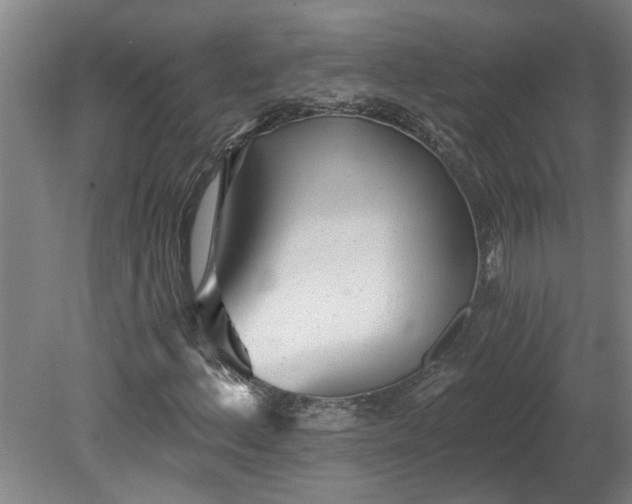 X0000078831156200611131115