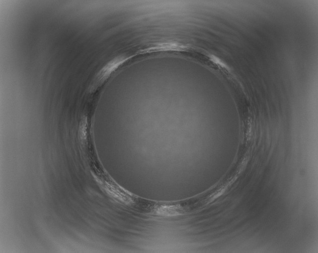 X0000078831161200611131115