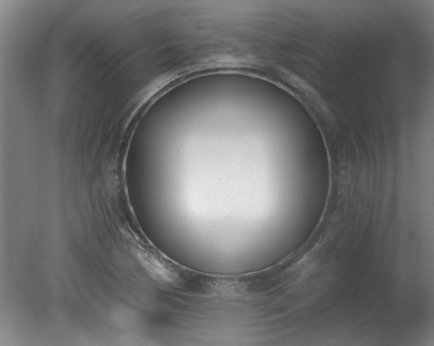 X0000078831170200611131115