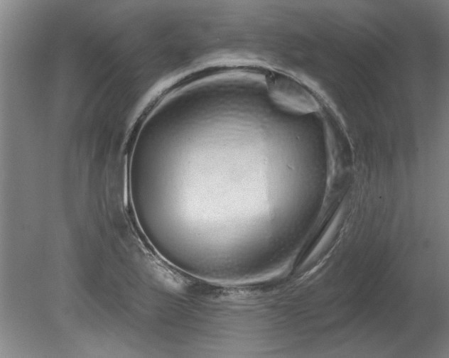 X0000078831175200611131115