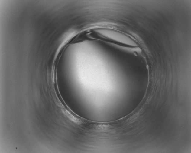 X0000078831180200611131115
