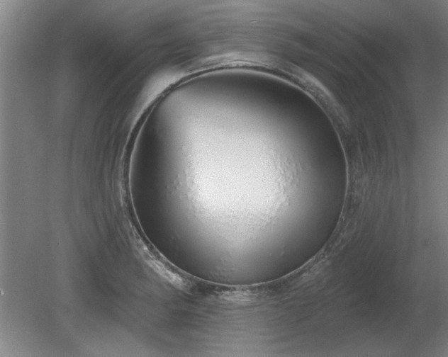 X0000078831182200611131115