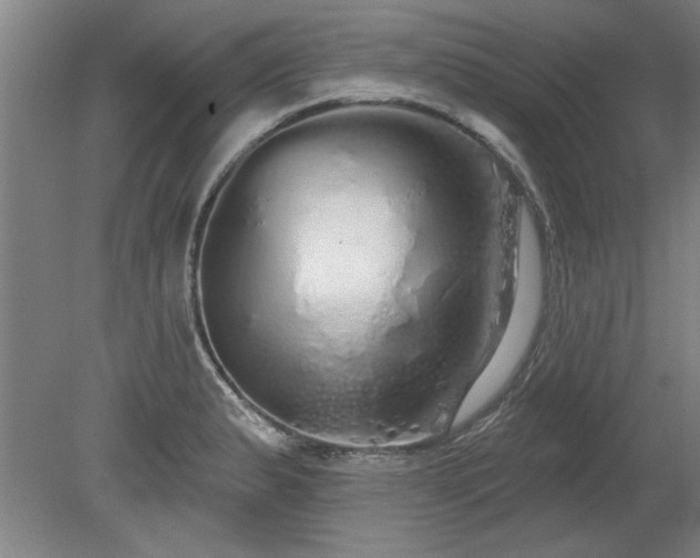 X0000078831183200611131115