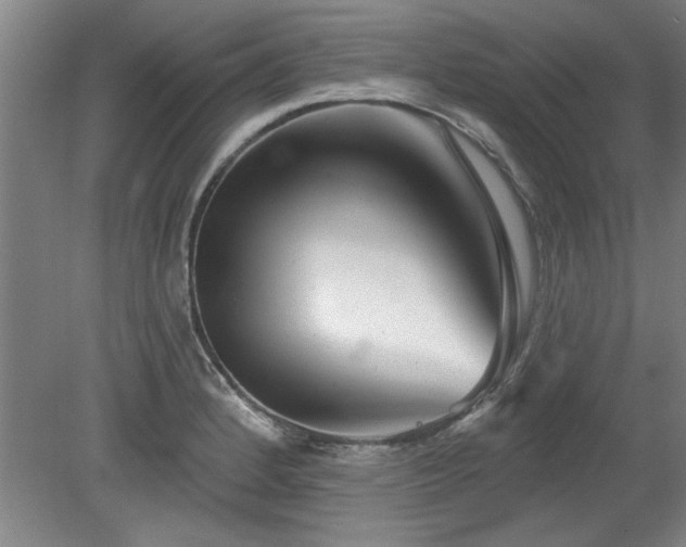 X0000078831184200611131115