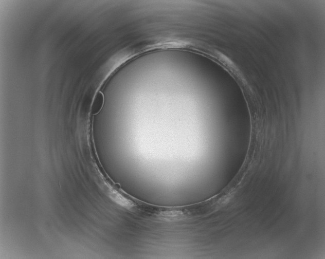 X0000078831186200611131115