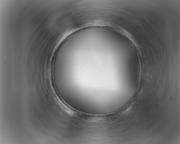 X0000078831187200611131115