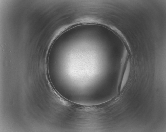 X0000078831191200611131115