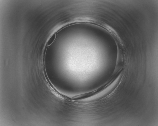 X0000078831192200611131115