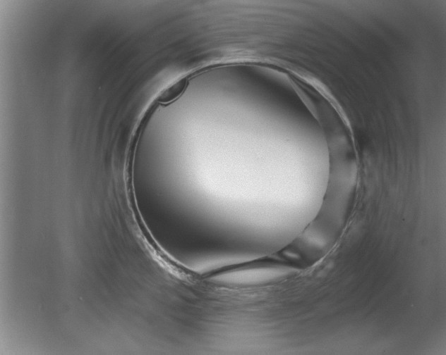 X0000078831197200611131115