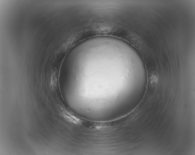 X0000078831204200611131114