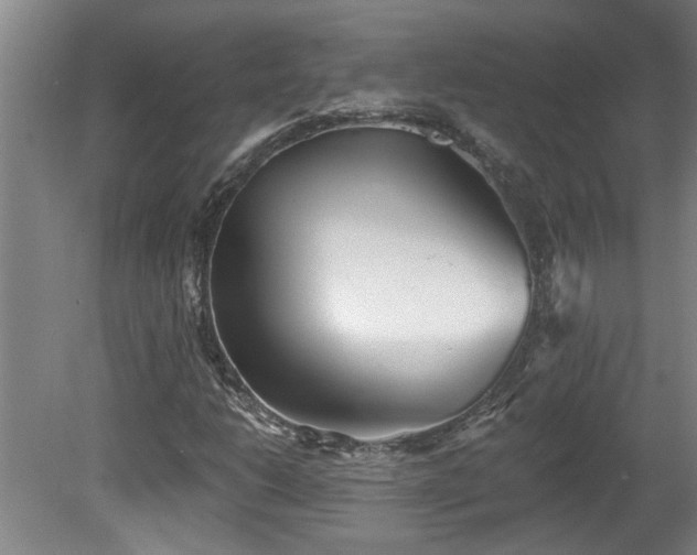 X0000078831206200611131114