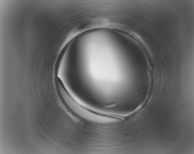 X0000078831230200611131114