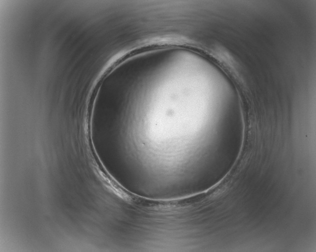 X0000078831232200611131114