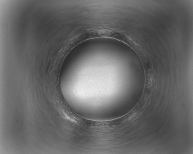 X0000078831249200611131114