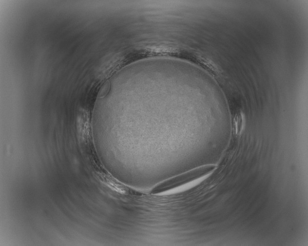 X0000078831251200611131114