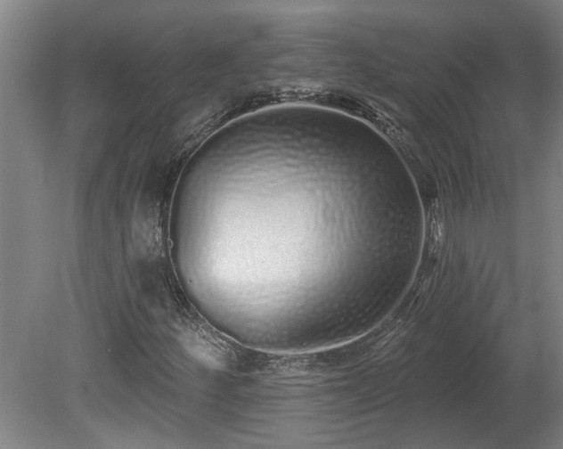 X0000078831252200611131114