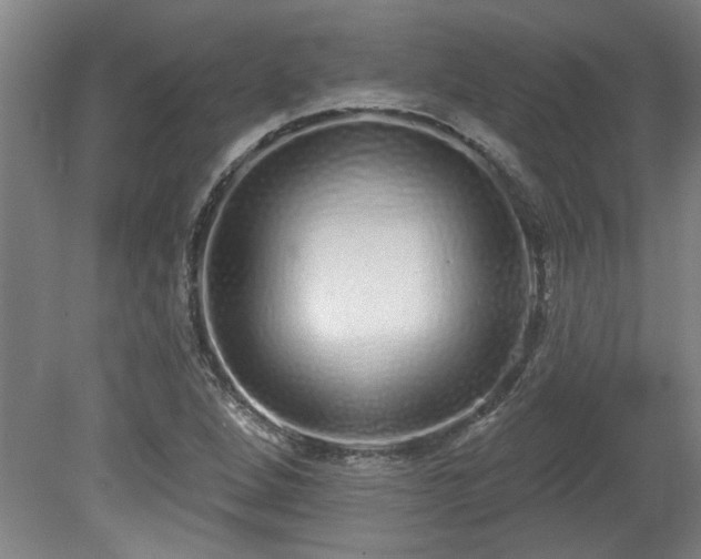X0000078831264200611131113