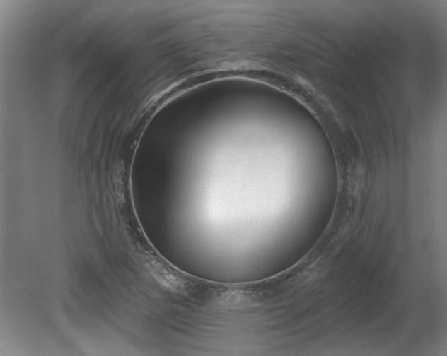 X0000078831265200611131113