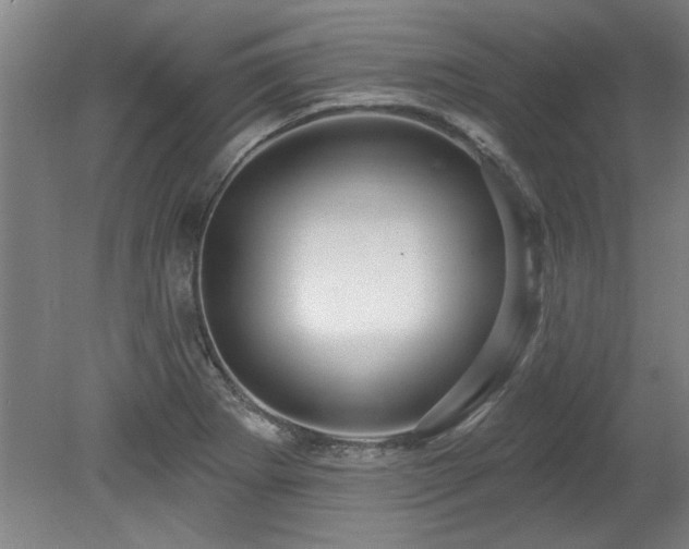 X0000078831273200611131113