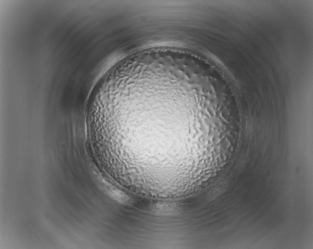 X0000078831274200611131113