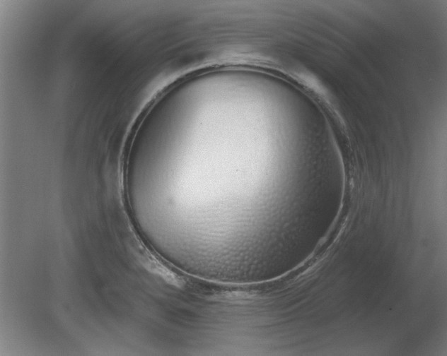 X0000078831280200611131113
