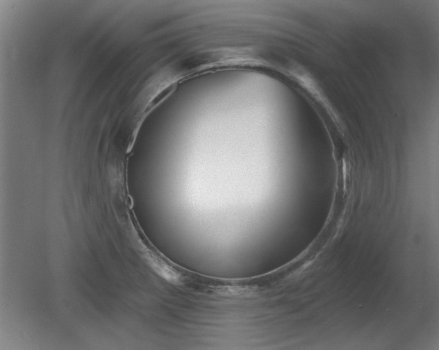 X0000078831281200611131113