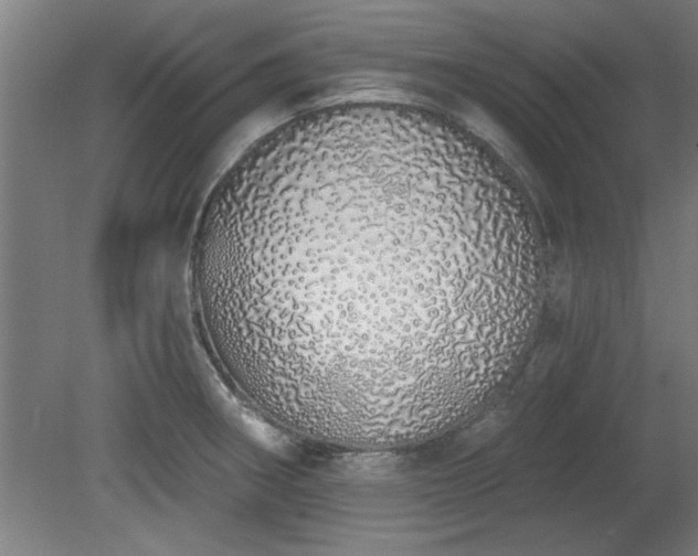X0000078831282200611131113
