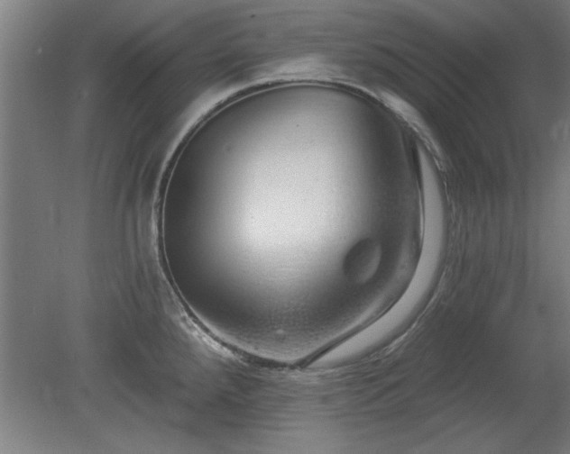 X0000078831288200611131113