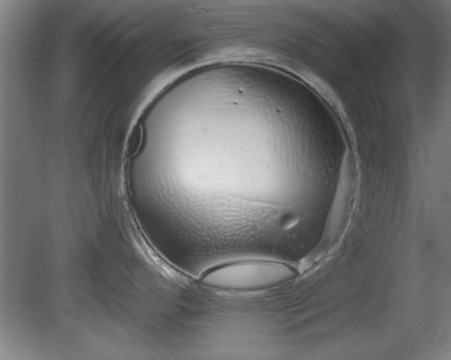 X0000078831296200611131113