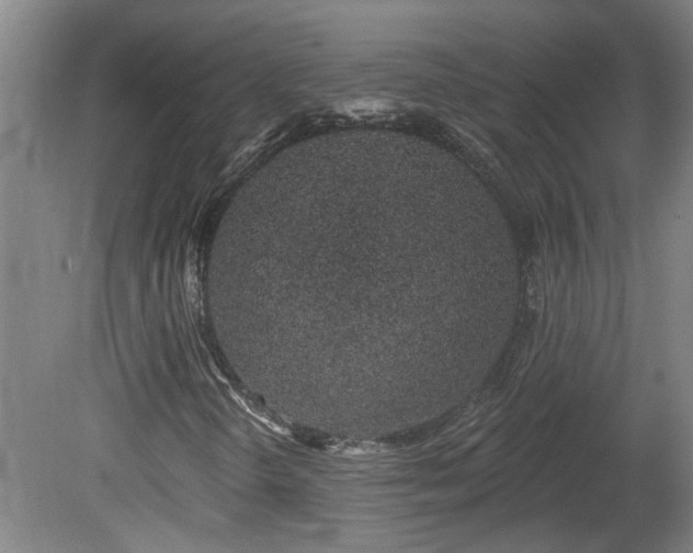 X0000078831298200611131112