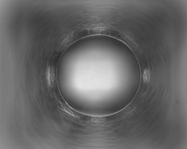 X0000078831299200611131112