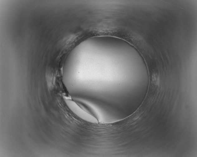 X0000078831300200611131112
