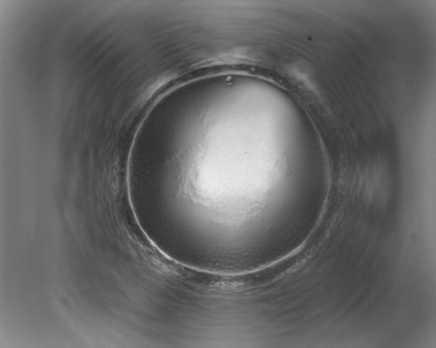 X0000078831313200611131112