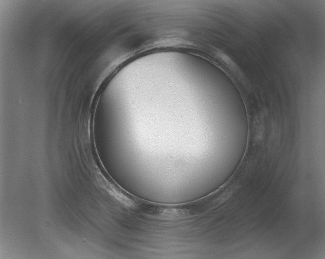 X0000078831322200611131113