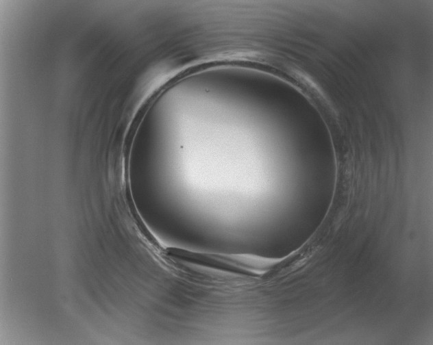 X0000078831324200611131113