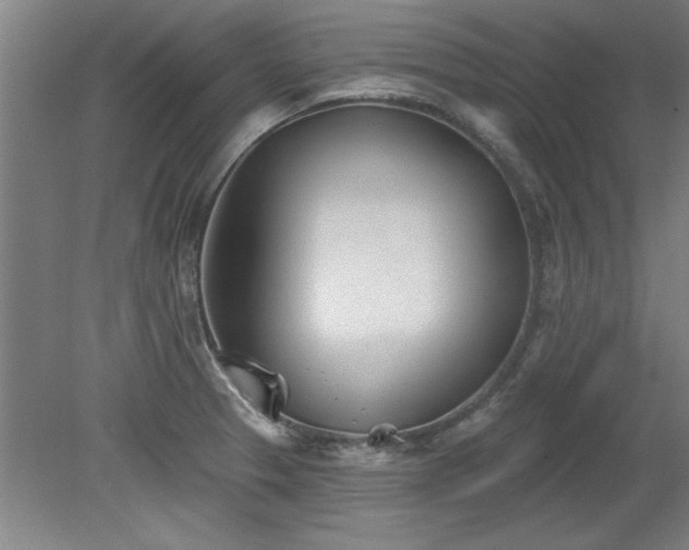 X0000078831329200611131113