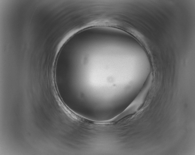 X0000078831344200611131113