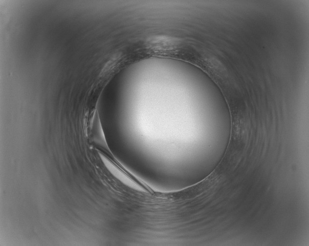 X0000078831346200611131112