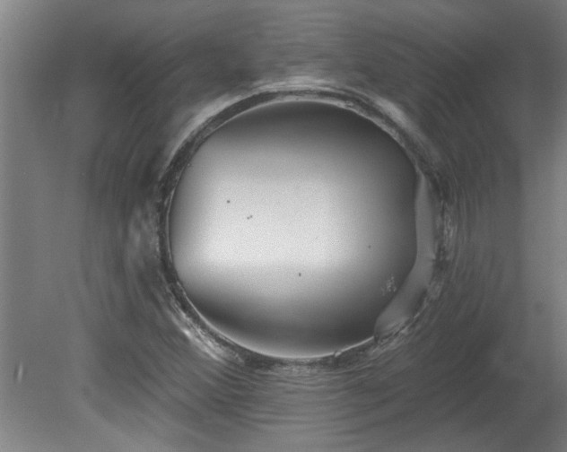 X0000078831356200611131112