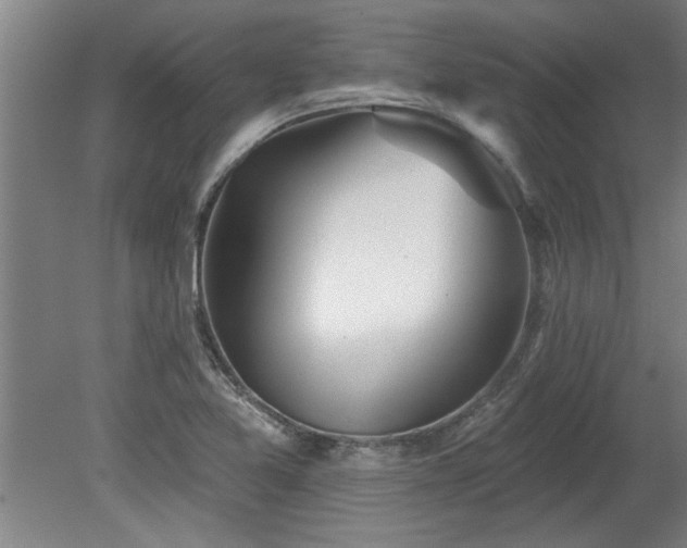 X0000078831365200611131112