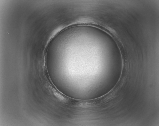 X0000078831366200611131112